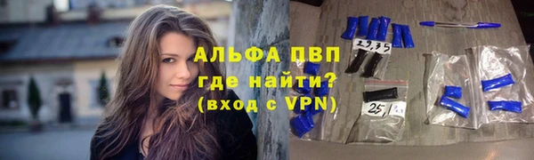 стаф Баксан
