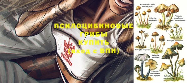 гидропоника Ступино
