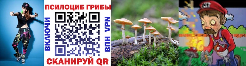 Псилоцибиновые грибы ЛСД  цены наркотик  Богучар 